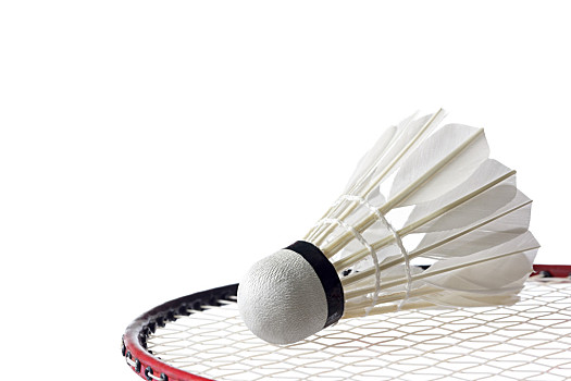 重要因素 重要因素